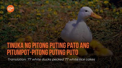 patotoy meaning in tagalog|PATO: Tagalog.